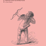 Dominic Pettman'ın 'Libido Zirvesi: Seks, Ekoloji ve Arzunun Çöküşü' kitabı raflarda