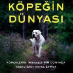 Vahşi doğada köpekler kurda dönüşür mü? | Özlem Aydeniz