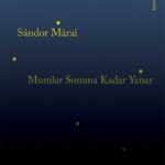 Dostluk, kıskançlık, ihanet ve insan doğası üzerine uzun süre unutulmayacak meditatif bir roman